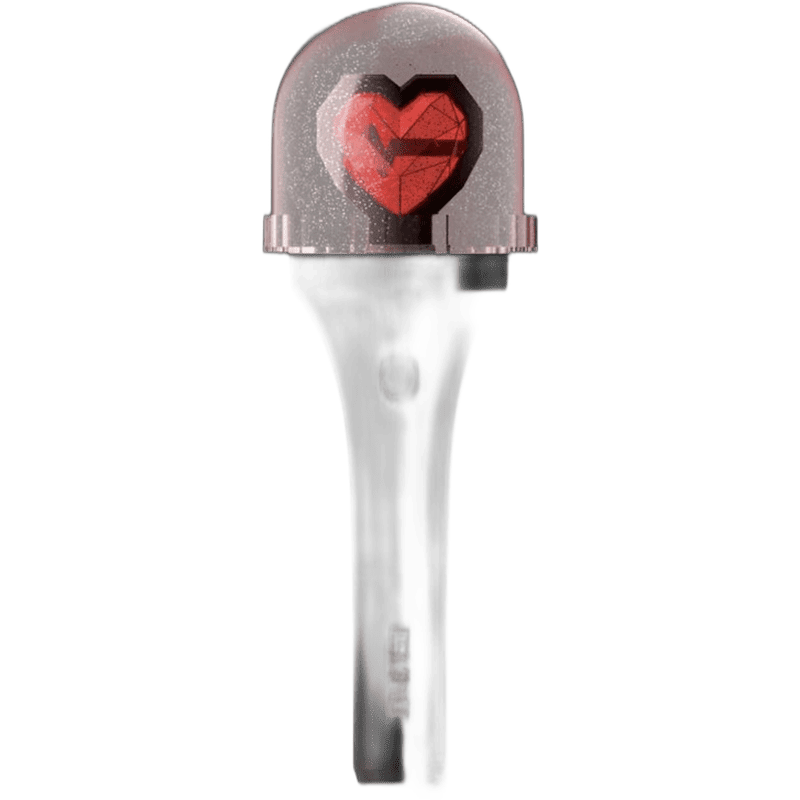 KISS OF LIFE official light stick